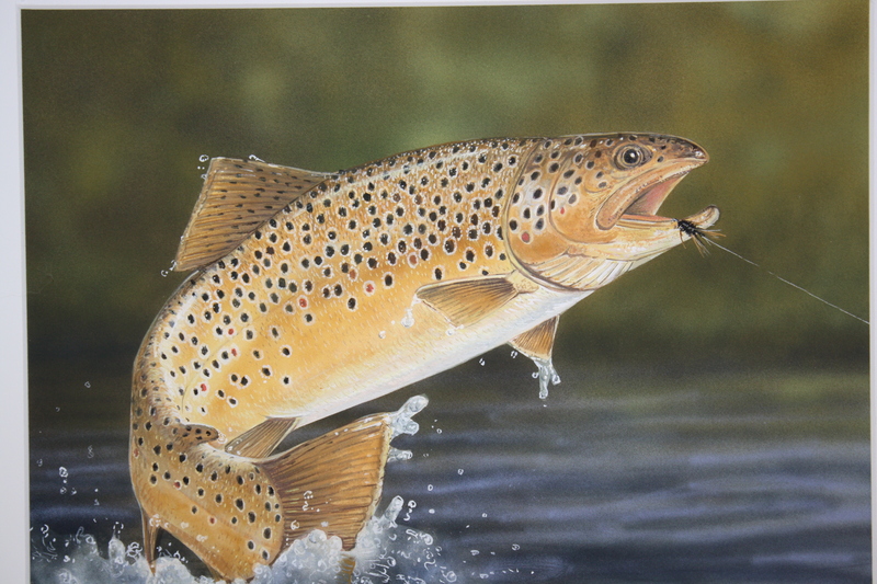 2014 Delaware Waterfowl And Trout Stamp Winner Announced Cape Gazette